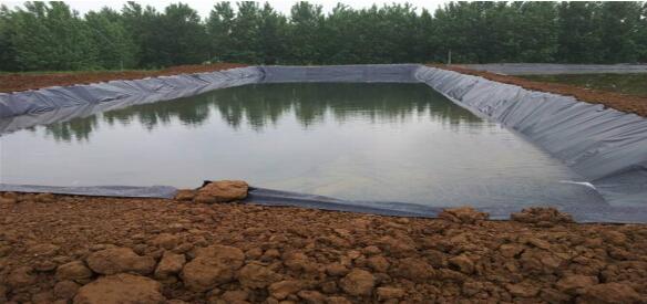 魚塘養(yǎng)殖防滲膜使用的好處