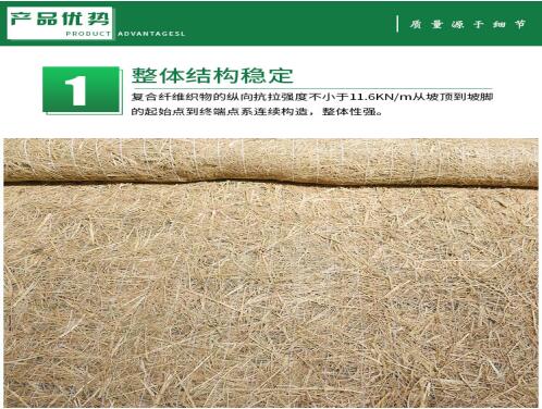 椰絲毯在實際護坡工程中的應(yīng)用