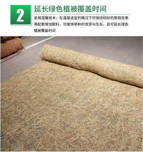椰絲毯在實際護坡工程中的應(yīng)用