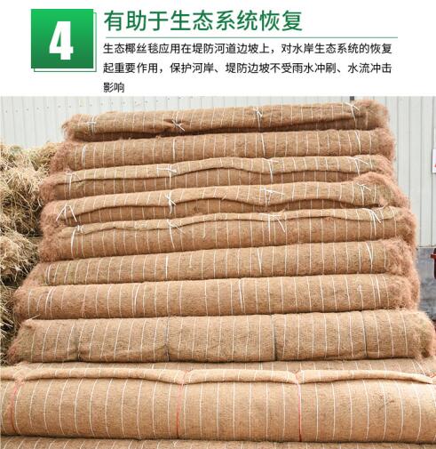 椰絲毯在實際護坡工程中的應(yīng)用