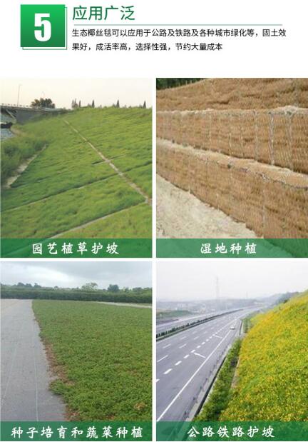 椰絲毯在實際護坡工程中的應(yīng)用