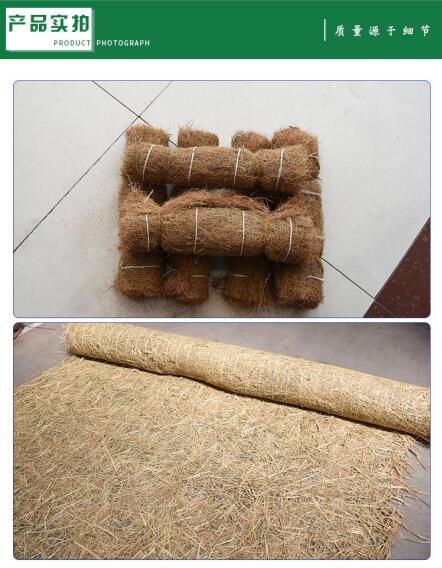 椰絲毯在實際護坡工程中的應(yīng)用