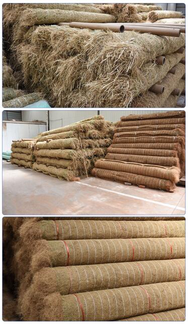 椰絲毯在實際護坡工程中的應(yīng)用