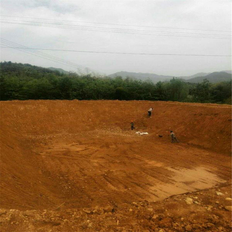 魚塘黑膜 黑膜沼氣池、氧化塘設計施工方案